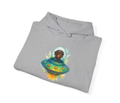 Gray Hoodie with Dog in UFO Design